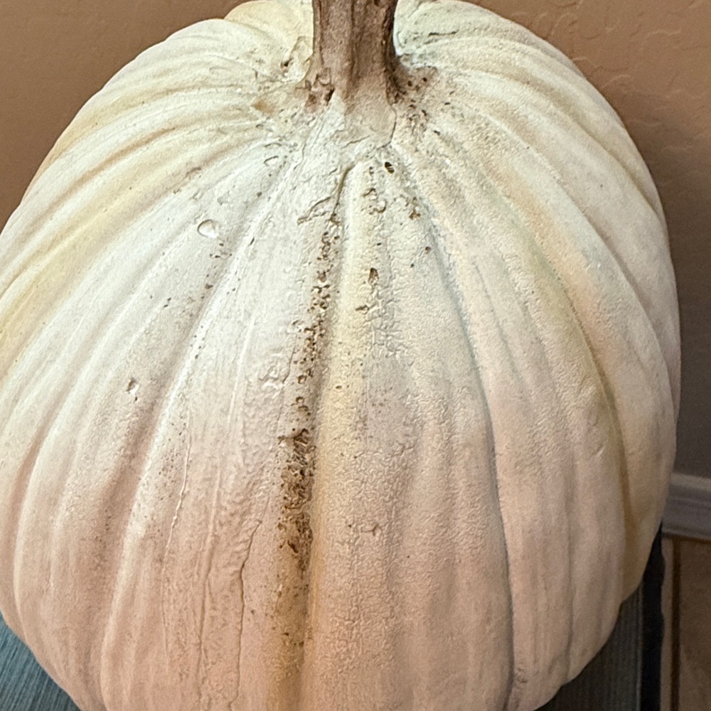 White Pumpkin Halloween Decor - Picture 10 of 12
